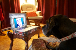 Skype date to say goodbyes to Bobby and Sam.